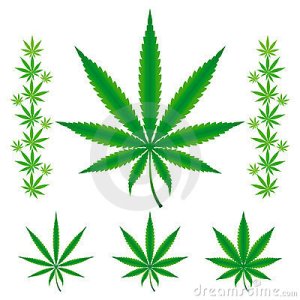 cannabis-marijuana-hemp-leafs-14746159